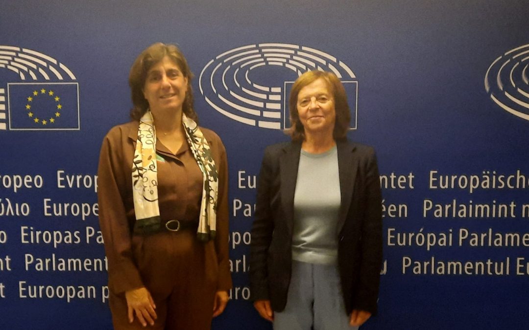 CIP meets with European Institutions to discuss main concerns of Portuguese companies