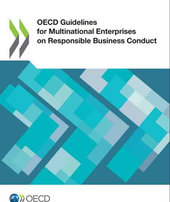 Webinar “What changed in the 2023 revamp of the OECD Guidelines and why does it matter?”