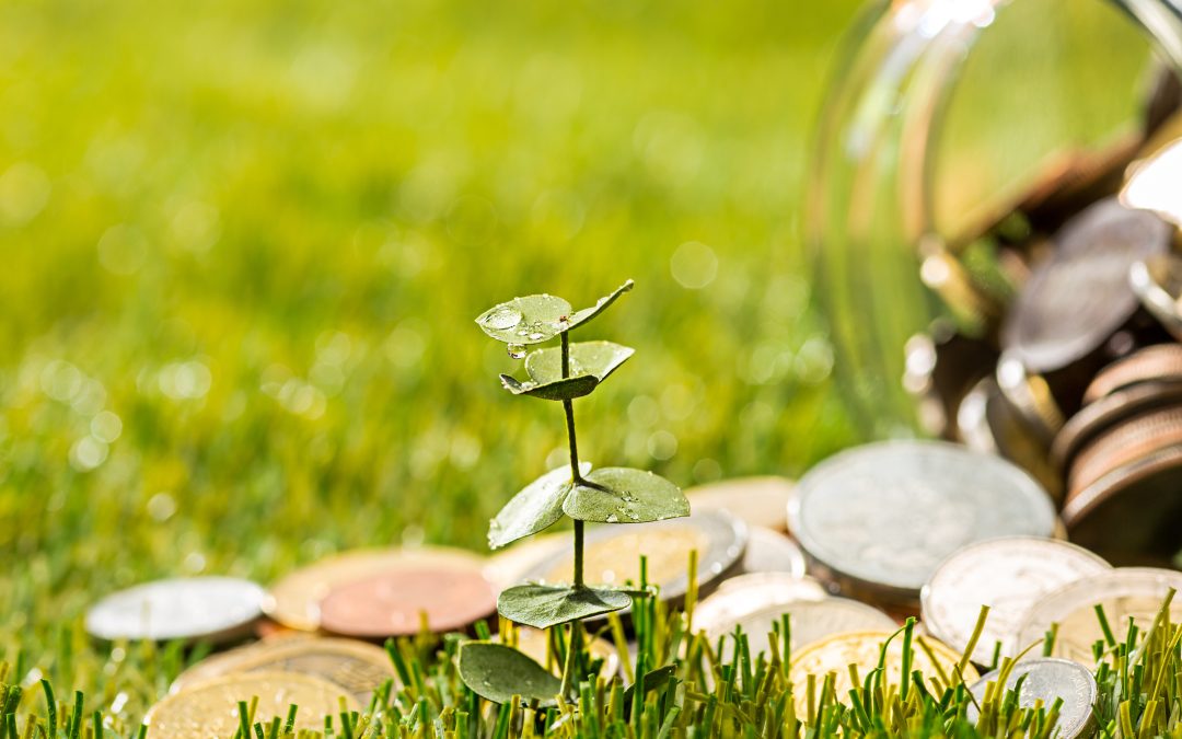 Relatório sobre gestão industrial do carbono aprovado no CESE