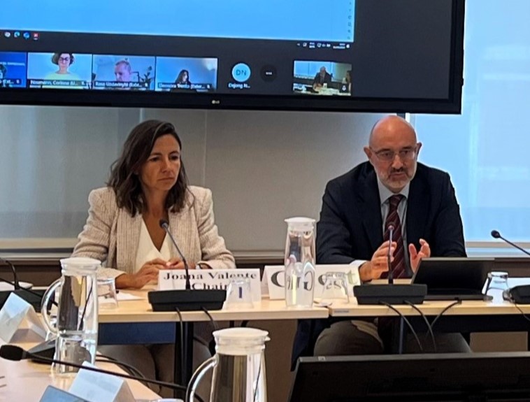 Joana Valente assume liderança do Grupo de Política Regional da BusinessEurope