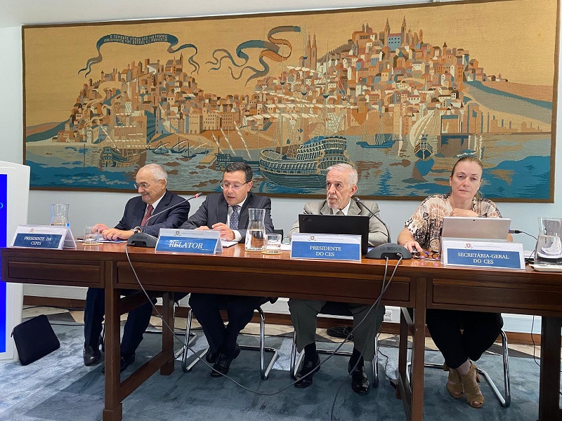 CIP elabora parecer aprovado no CES sobre Conta Geral do Estado