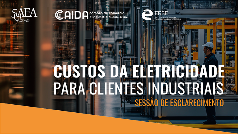 Sessão Esclarecimentos | Custos de Eletricidade para Industria